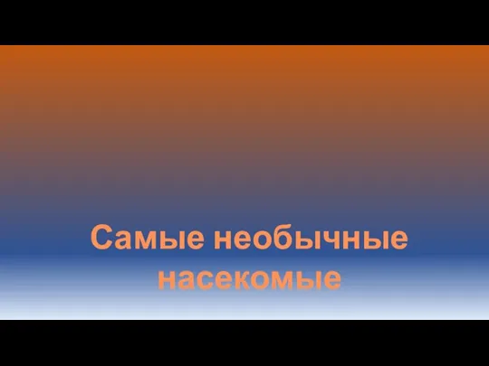 Самые необычные насекомые