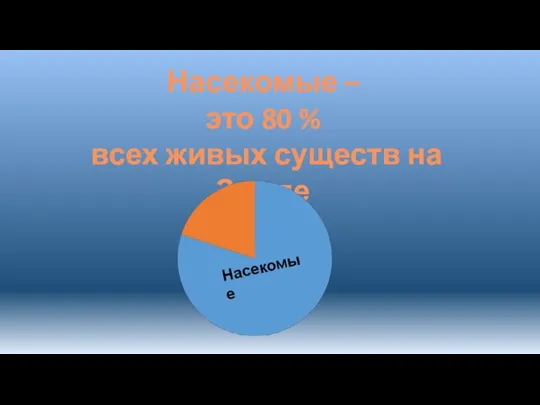 Насекомые – это 80 % всех живых существ на Земле Насекомые