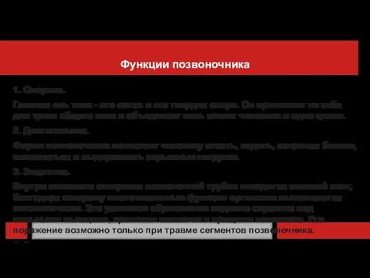 Функции позвоночника 1. Опорная. Главная ось тела - это остов и его