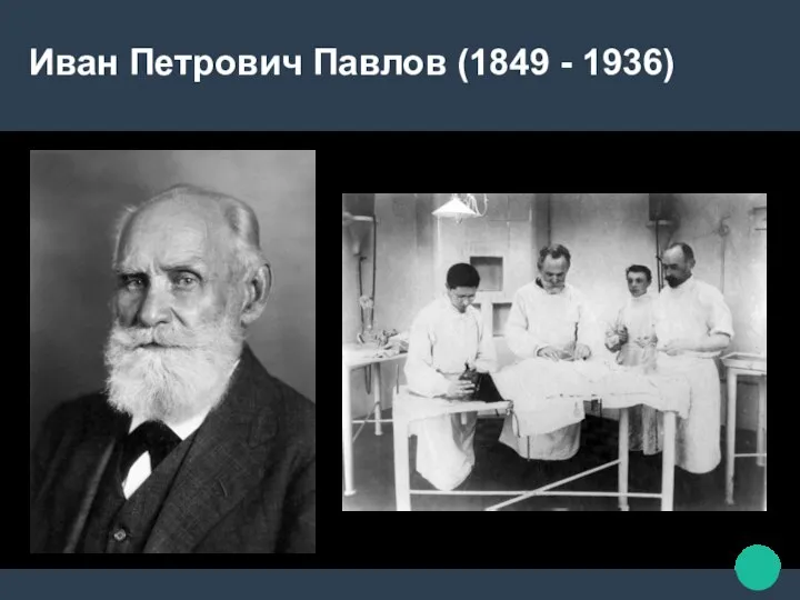 Иван Петрович Павлов (1849 - 1936)