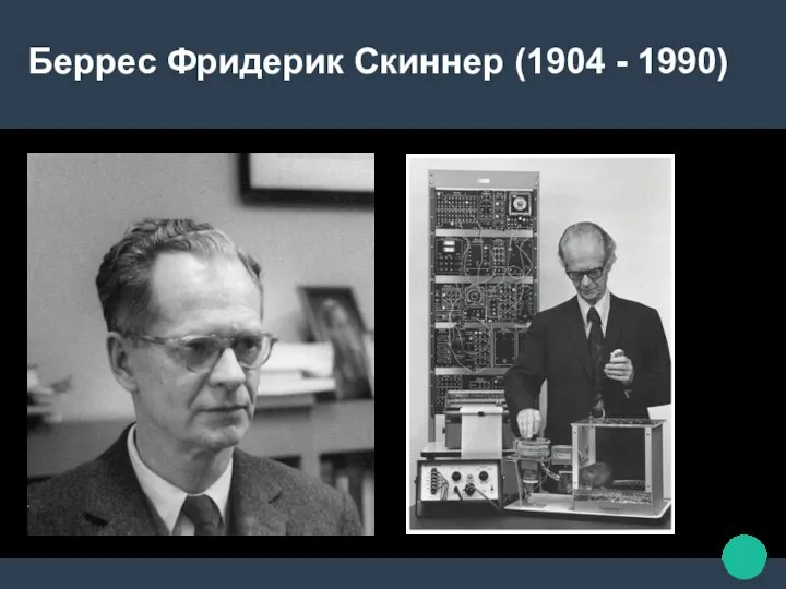 Беррес Фридерик Скиннер (1904 - 1990)