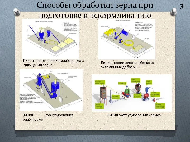 Способы обработки зерна при подготовке к вскармливанию 3 Линия приготовления комбикорма с