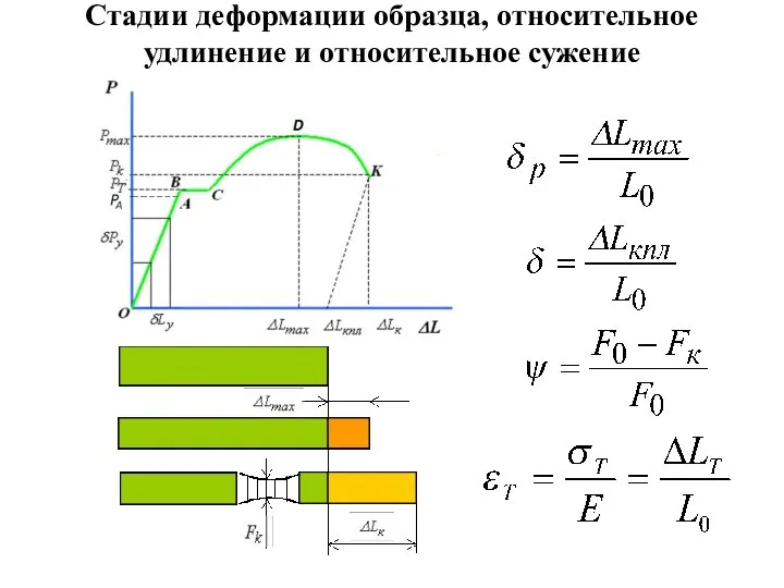 Стадии деформации образца, относительное удлинение и относительное сужение