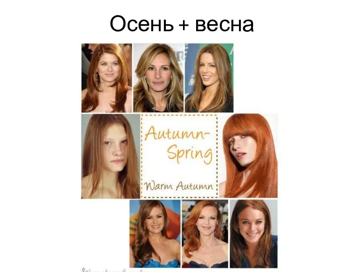 Осень + весна