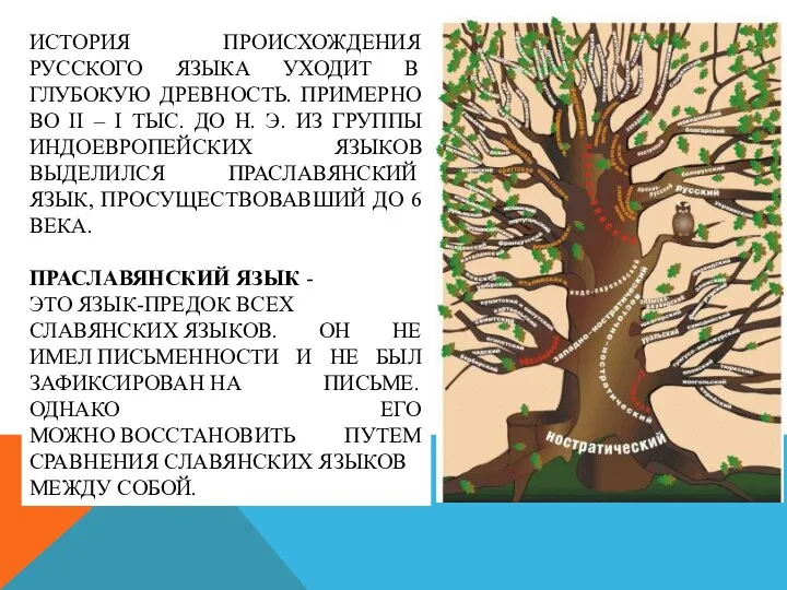 ИСТОРИЯ ПРОИСХОЖДЕНИЯ РУССКОГО ЯЗЫКА УХОДИТ В ГЛУБОКУЮ ДРЕВНОСТЬ. ПРИМЕРНО ВО II –