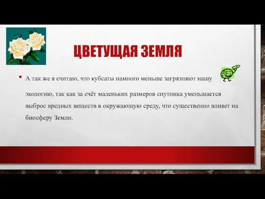 ЦВЕТУЩАЯ ЗЕМЛЯ А так же я считаю, что кубсаты намного меньше загрязняют