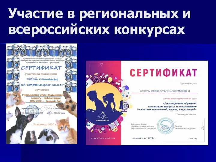 Участие в региональных и всероссийских конкурсах