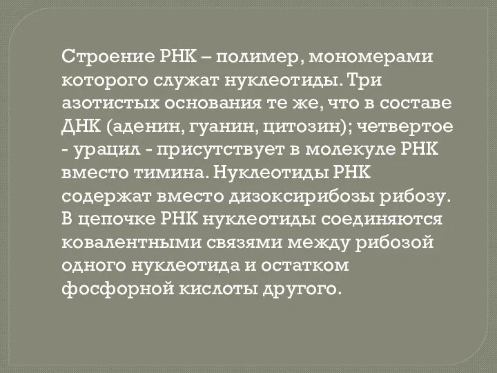 Строение РНК – полимер, мономерами которого служат нуклеотиды. Три азотистых основания те