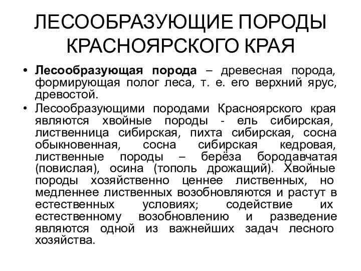 ЛЕСООБРАЗУЮЩИЕ ПОРОДЫ КРАСНОЯРСКОГО КРАЯ Лесообразующая порода – древесная порода, формирующая полог леса,