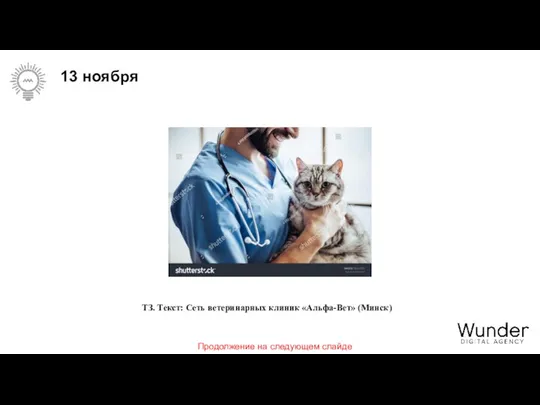 13 ноября ТЗ. Текст: Сеть ветеринарных клиник «Альфа-Вет» (Минск) Продолжение на следующем слайде