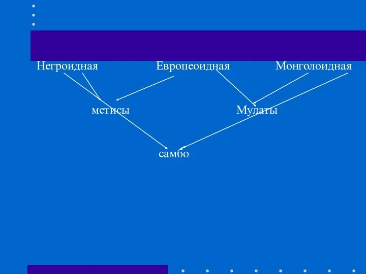 Негроидная Европеоидная Монголоидная метисы Мулаты самбо