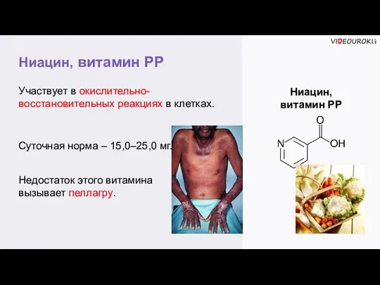 Ниацин, витамин РР Ниацин, витамин РР Участвует в окислительно-восстановительных реакциях в клетках.