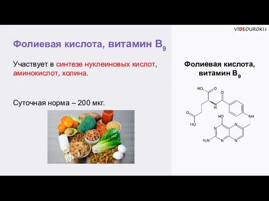 Фолиевая кислота, витамин В9 Фолиевая кислота, витамин В9 Участвует в синтезе нуклеиновых