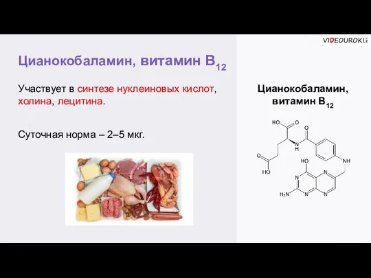Цианокобаламин, витамин В12 Цианокобаламин, витамин В12 Участвует в синтезе нуклеиновых кислот, холина,