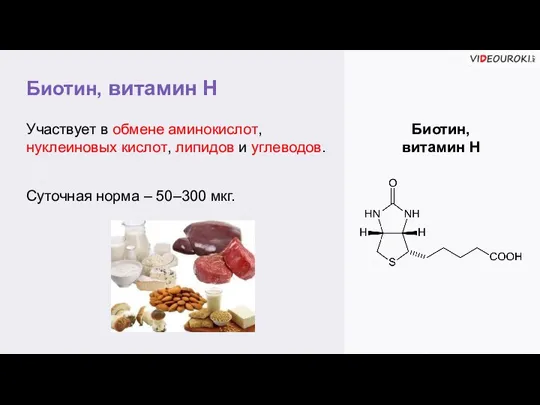 Биотин, витамин Н Биотин, витамин Н Участвует в обмене аминокислот, нуклеиновых кислот,