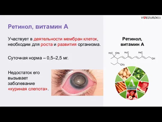 Ретинол, витамин А Ретинол, витамин А Участвует в деятельности мембран клеток, необходим