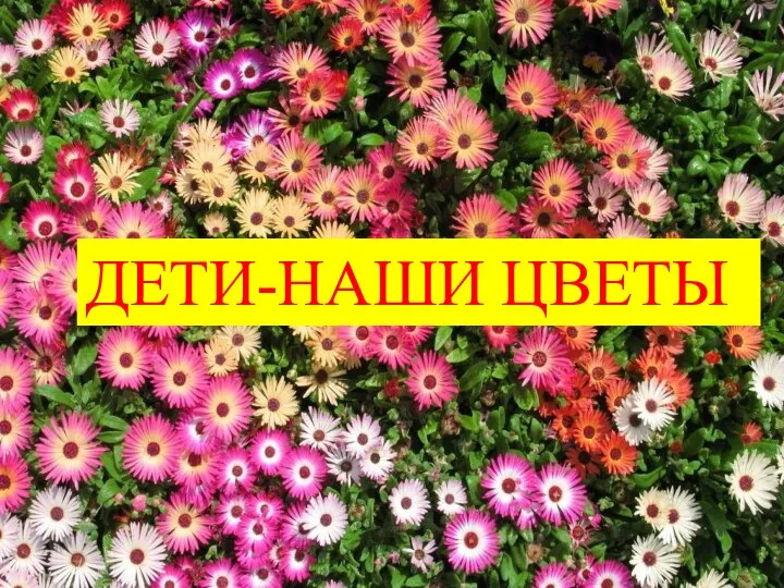 ДЕТИ-НАШИ ЦВЕТЫ