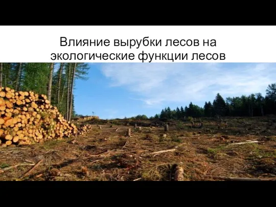 Влияние вырубки лесов на экологические функции лесов
