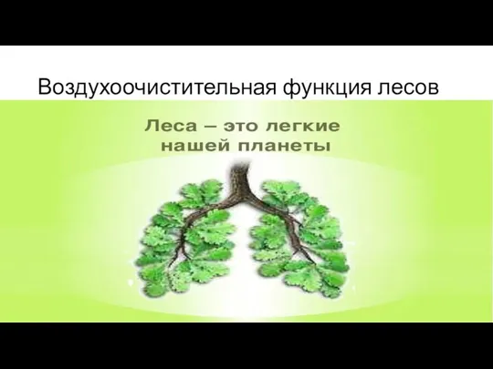 Воздухоочистительная функция лесов