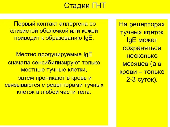 Стадии ГНТ Первый контакт аллергена со слизистой оболочкой или кожей приводит к