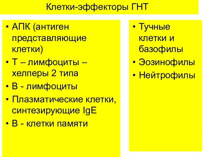 Клетки-эффекторы ГНТ АПК (антиген представляющие клетки) Т – лимфоциты – хелперы 2