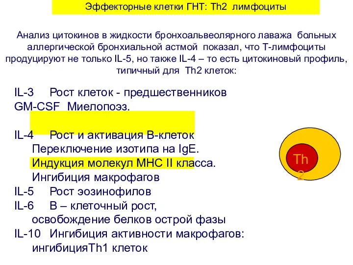 Эффекторные клетки ГНТ: Th2 лимфоциты Анализ цитокинов в жидкости бронхоальвеолярного лаважа больных