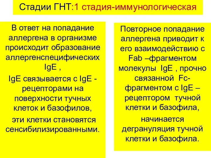 Стадии ГНТ:1 стадия-иммунологическая В ответ на попадание аллергена в организме происходит образование