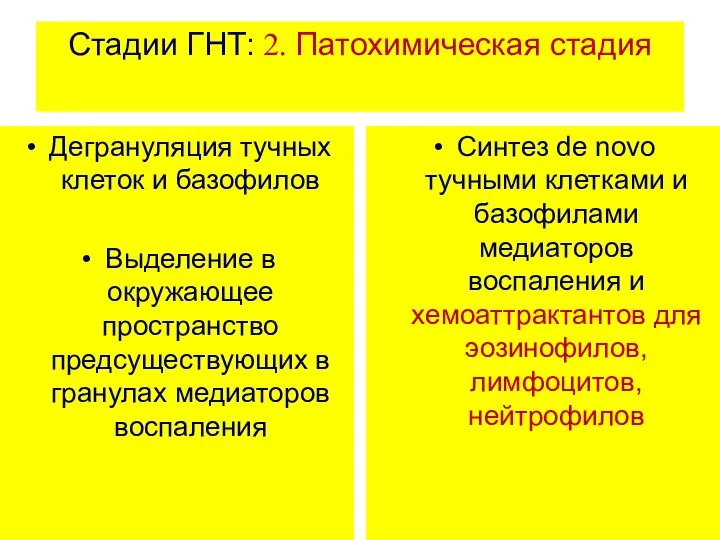 Стадии ГНТ: 2. Патохимическая стадия Дегрануляция тучных клеток и базофилов Выделение в