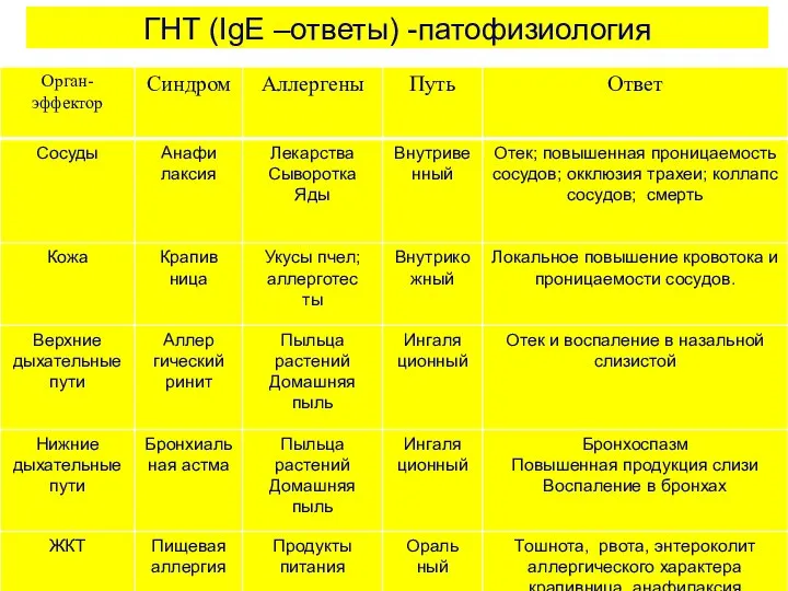 ГНТ (IgE –ответы) -патофизиология