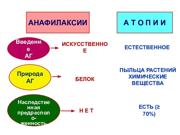 АНАФИЛАКСИИ А Т О П И И Введение АГ Природа АГ Наследственная