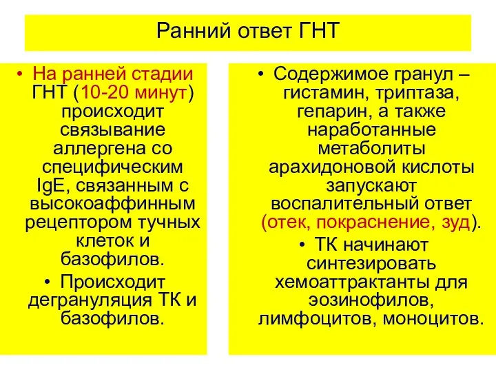 Ранний ответ ГНТ На ранней стадии ГНТ (10-20 минут) происходит связывание аллергена