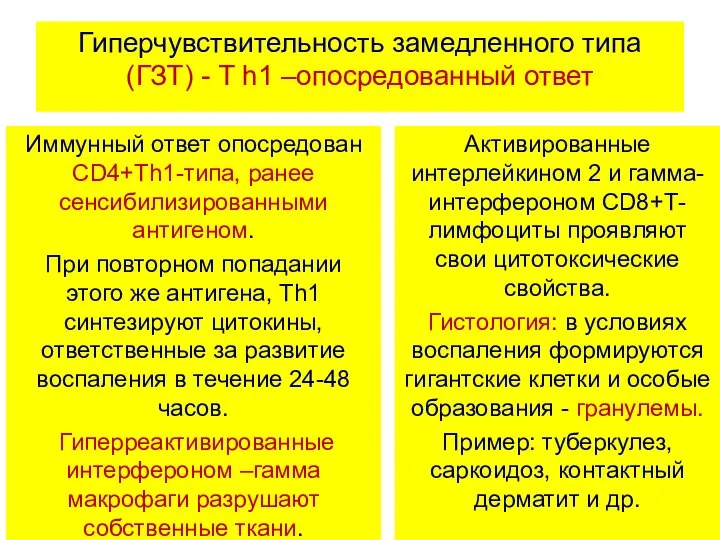 Гиперчувствительность замедленного типа (ГЗТ) - T h1 –опосредованный ответ Иммунный ответ опосредован