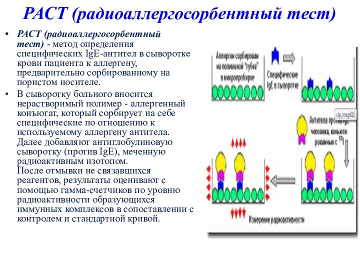 РАСТ (радиоаллергосорбентный тест) РАСТ (радиоаллергосорбентный тест) - метод определения специфических IgE-антител в