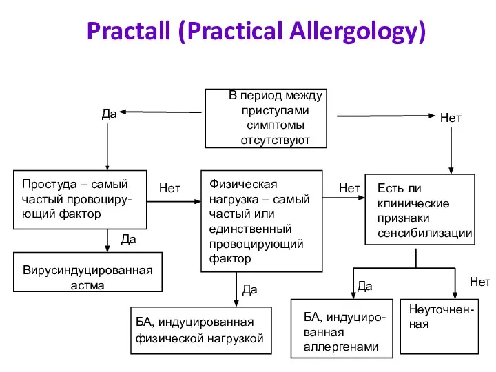 Practall (Practical Allergology) В период между приступами симптомы отсутствуют Нет Да Простуда