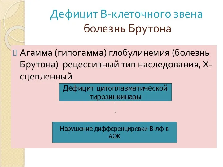 Дефицит В-клеточного звена болезнь Брутона Агамма (гипогамма) глобулинемия (болезнь Брутона) рецессивный тип