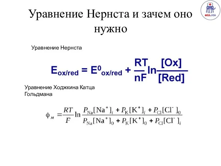 Уравнение Нернста и зачем оно нужно Уравнение Нернста Уравнение Ходжкина Катца Гольдмана