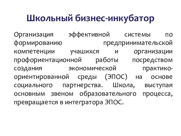 Школьный бизнес-инкубатор Организация эффективной системы по формированию предпринимательской компетенции учашихся и организации