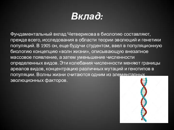 Вклад: Фундаментальный вклад Четверикова в биологию составляют, прежде всего, исследования в области