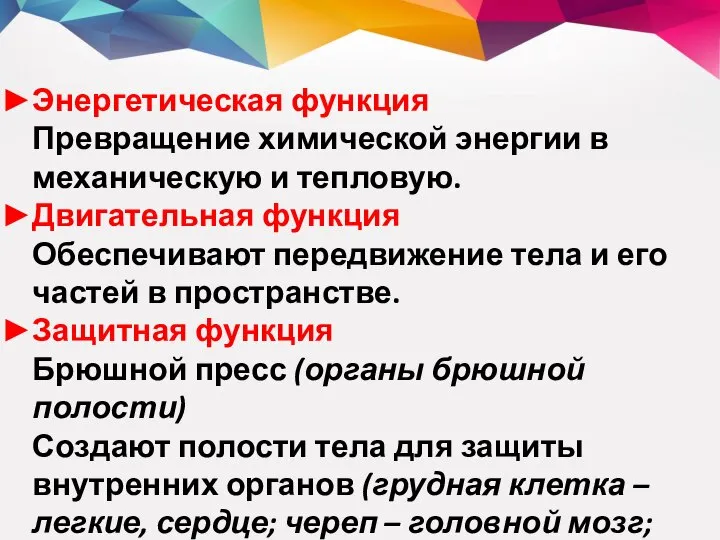 Энергетическая функция Превращение химической энергии в механическую и тепловую. Двигательная функция Обеспечивают