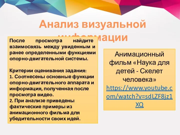 Анализ визуальной информации Анимационный фильм «Наука для детей - Скелет человека» https://www.youtube.com/watch?v=sdLZF8jz1XQ