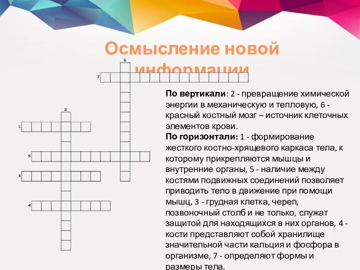 Осмысление новой информации По вертикали: 2 - превращение химической энергии в механическую