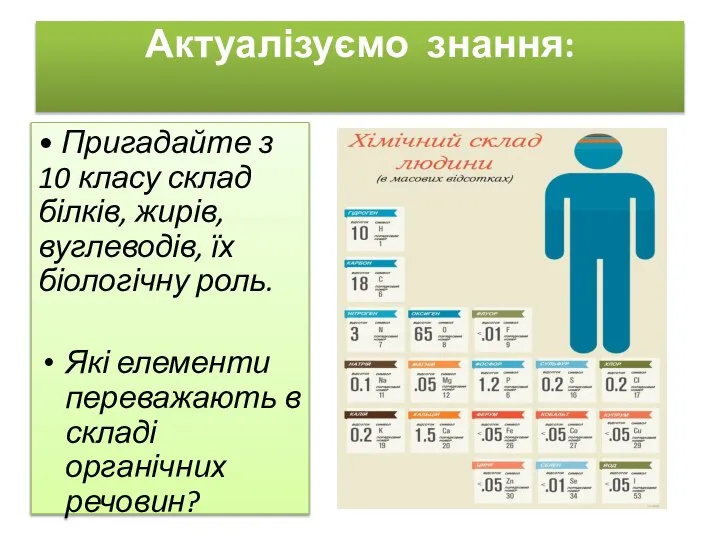 Актуалізуємо знання: • Пригадайте з 10 класу склад білків, жирів, вуглеводів, їх