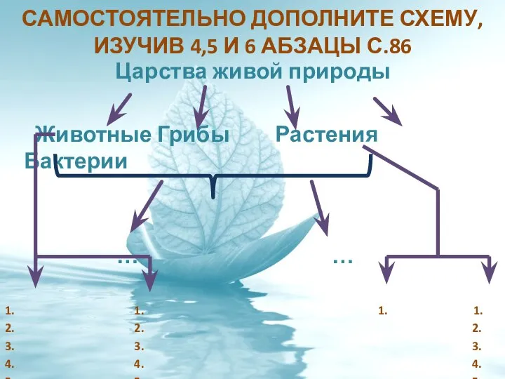 Царства живой природы Животные Грибы Растения Бактерии … … 1. 1. 1.