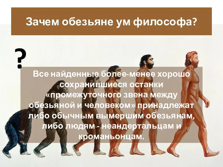 ? Зачем обезьяне ум философа? Все найденные более-менее хорошо сохранившиеся останки «промежуточного