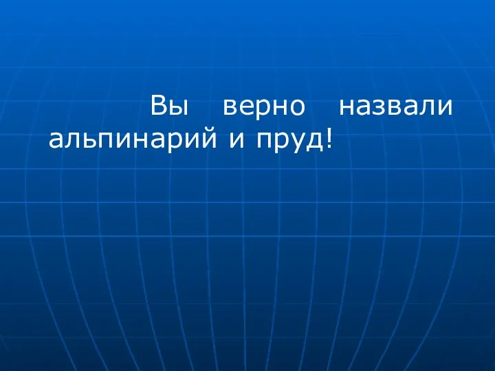 Вы верно назвали альпинарий и пруд!