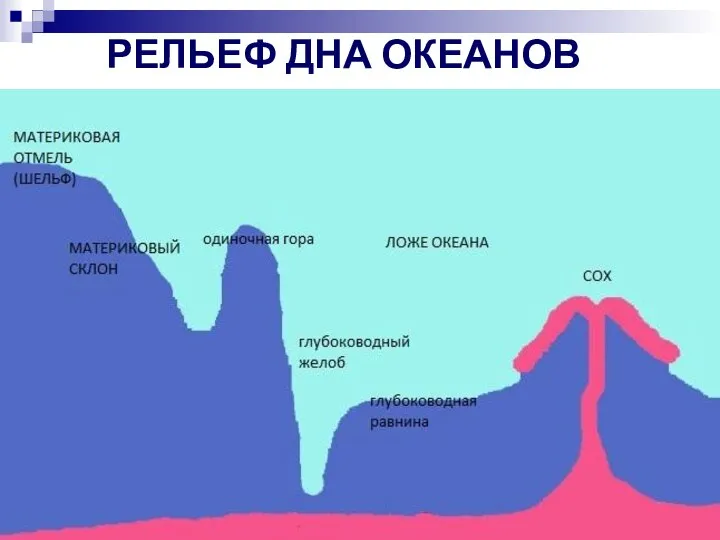 РЕЛЬЕФ ДНА ОКЕАНОВ