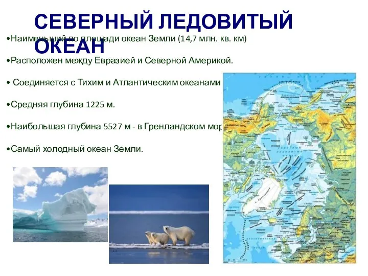 СЕВЕРНЫЙ ЛЕДОВИТЫЙ ОКЕАН Наименьший по площади океан Земли (14,7 млн. кв. км)