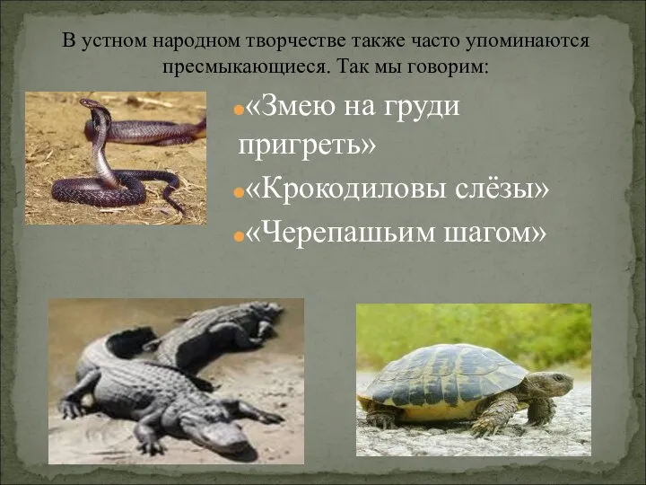 В устном народном творчестве также часто упоминаются пресмыкающиеся. Так мы говорим: «Змею