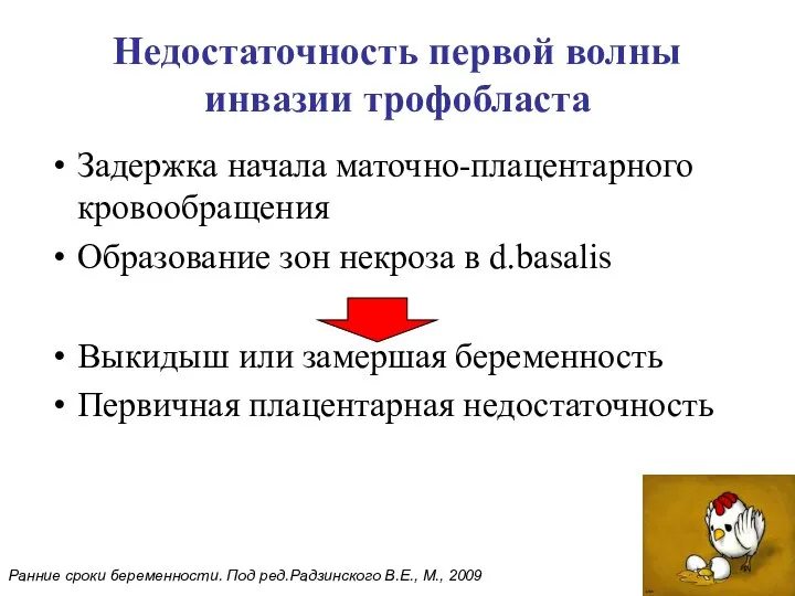 Недостаточность первой волны инвазии трофобласта Задержка начала маточно-плацентарного кровообращения Образование зон некроза