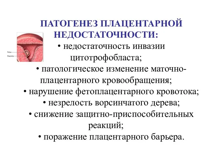 ПАТОГЕНЕЗ ПЛАЦЕНТАРНОЙ НЕДОСТАТОЧНОСТИ: • недостаточность инвазии цитотрофобласта; • патологическое изменение маточно-плацентарного кровообращения;